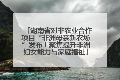 湖南省对非农业合作项目“非洲母亲新农场”发布！聚焦提升非洲妇女能力与家庭福祉