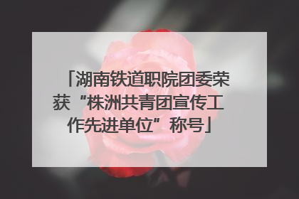 湖南铁道职院团委荣获“株洲共青团宣传工作先进单位”称号