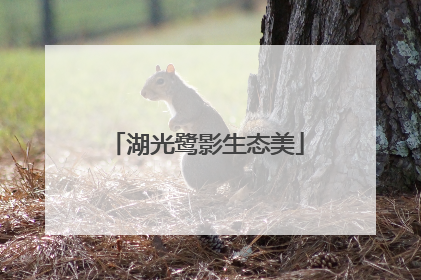 湖光鹭影生态美