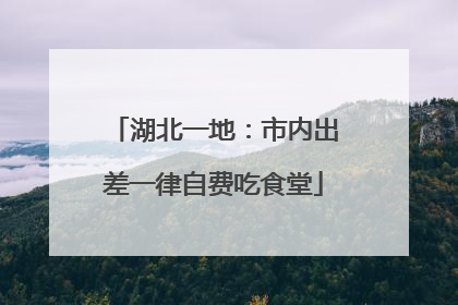 湖北一地：市内出差一律自费吃食堂