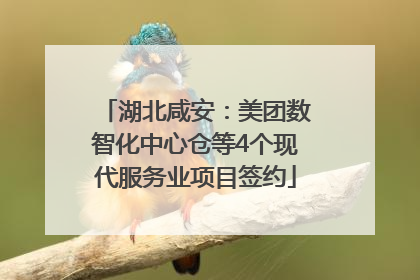 湖北咸安：美团数智化中心仓等4个现代服务业项目签约