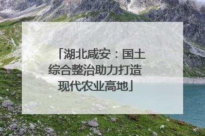 湖北咸安：国土综合整治助力打造现代农业高地