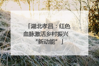 湖北孝昌：红色血脉激活乡村振兴“新动能”