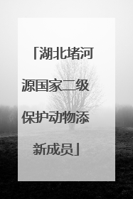 湖北堵河源国家二级保护动物添新成员