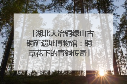 湖北大冶铜绿山古铜矿遗址博物馆：铜草花下的青铜传奇