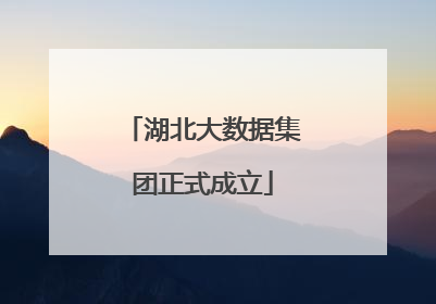 湖北大数据集团正式成立