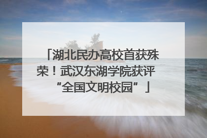 湖北民办高校首获殊荣！武汉东湖学院获评“全国文明校园”