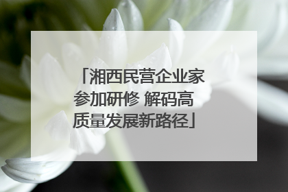湘西民营企业家参加研修 解码高质量发展新路径