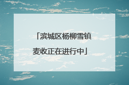 滨城区杨柳雪镇麦收正在进行中