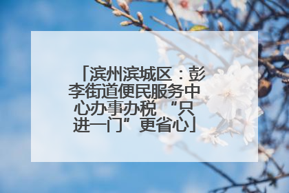 滨州滨城区：彭李街道便民服务中心办事办税 “只进一门”更省心