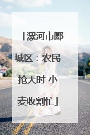 漯河市郾城区：农民抢天时 小麦收割忙