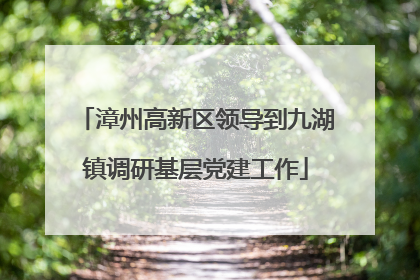 漳州高新区领导到九湖镇调研基层党建工作