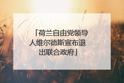 荷兰自由党领导人维尔德斯宣布退出联合政府