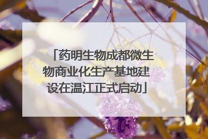 药明生物成都微生物商业化生产基地建设在温江正式启动