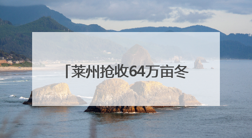 莱州抢收64万亩冬小麦 投入小麦联合收割机1500台