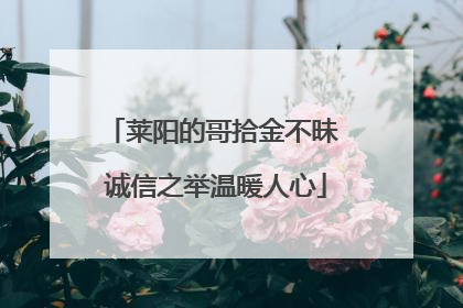 莱阳的哥拾金不昧 诚信之举温暖人心