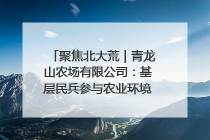 聚焦北大荒｜青龙山农场有限公司：基层民兵参与农业环境综合治理显效