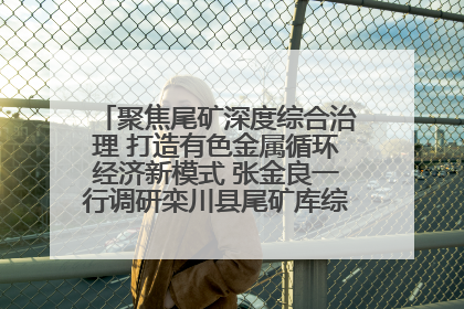 聚焦尾矿深度综合治理 打造有色金属循环经济新模式 张金良一行调研栾川县尾矿库综合治理工作