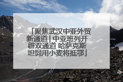 聚焦武汉中亚外贸新通道│中亚班列开辟双通道 哈萨克斯坦饲用小麦将抵鄂