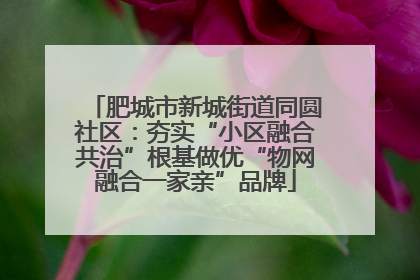 肥城市新城街道同圆社区：夯实“小区融合共治”根基做优“物网融合一家亲”品牌