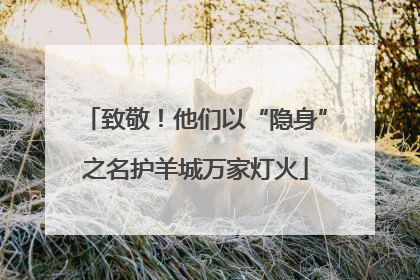 致敬！他们以“隐身”之名护羊城万家灯火