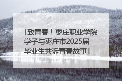 致青春！枣庄职业学院学子与枣庄市2025届毕业生共诉青春故事