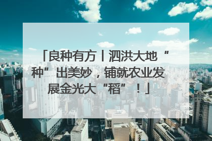 良种有方丨泗洪大地“种”出美妙，铺就农业发展金光大“稻”！