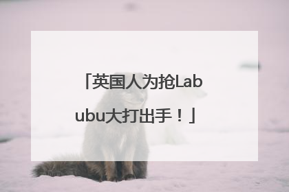 英国人为抢Labubu大打出手！