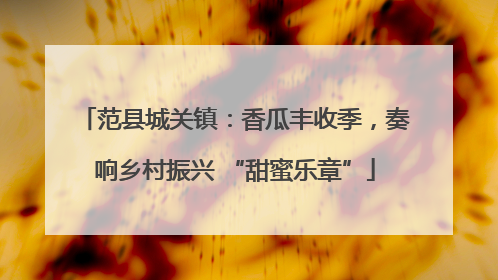 范县城关镇：香瓜丰收季，奏响乡村振兴 “甜蜜乐章”