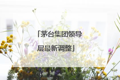 茅台集团领导层最新调整