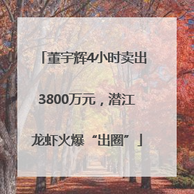 董宇辉4小时卖出3800万元，潜江龙虾火爆“出圈”