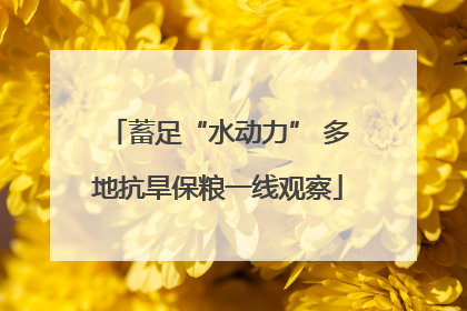 蓄足“水动力” 多地抗旱保粮一线观察