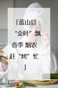 蓝山县：“金叶”飘香季 烟农赶“烤”忙