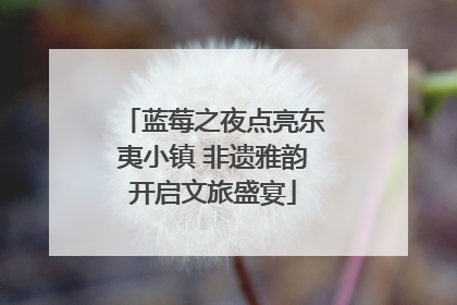 蓝莓之夜点亮东夷小镇 非遗雅韵开启文旅盛宴