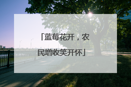 蓝莓花开，农民增收笑开怀
