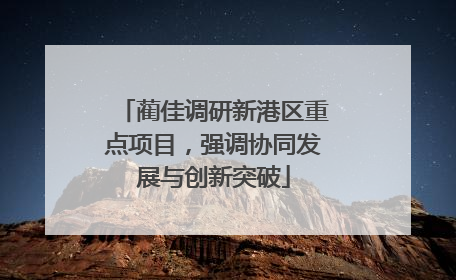蔺佳调研新港区重点项目，强调协同发展与创新突破