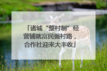 诸城“整村制”经营铺就富民强村路，合作社迎来大丰收