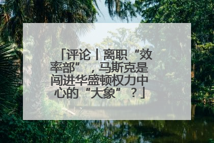 评论丨离职“效率部”，马斯克是闯进华盛顿权力中心的“大象”？