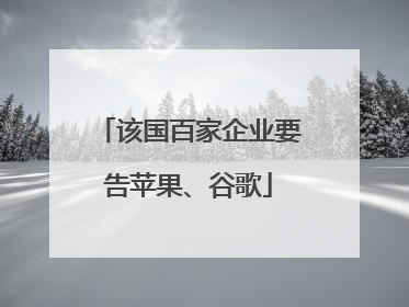 该国百家企业要告苹果、谷歌