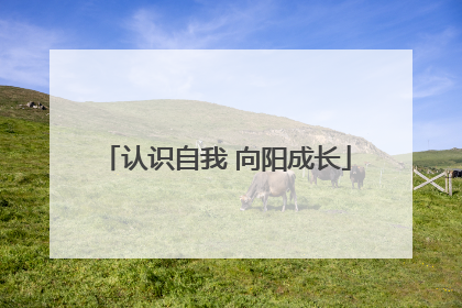 认识自我 向阳成长