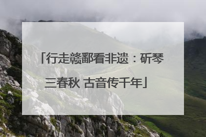 行走赣鄱看非遗：斫琴三春秋 古音传千年