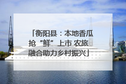 衡阳县：本地香瓜抢“鲜”上市 农旅融合助力乡村振兴
