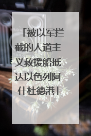 被以军拦截的人道主义救援船抵达以色列阿什杜德港