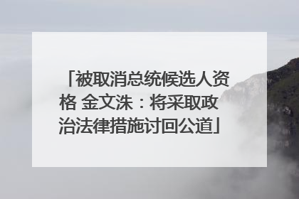 被取消总统候选人资格 金文洙：将采取政治法律措施讨回公道