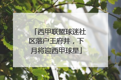 西甲联盟球迷社区落户王府井，下月将迎西甲球星
