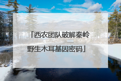西农团队破解秦岭野生木耳基因密码