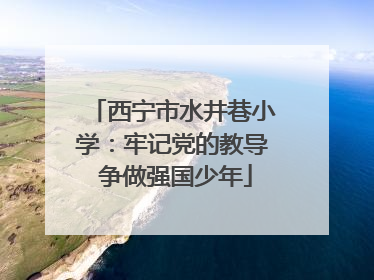 西宁市水井巷小学：牢记党的教导 争做强国少年