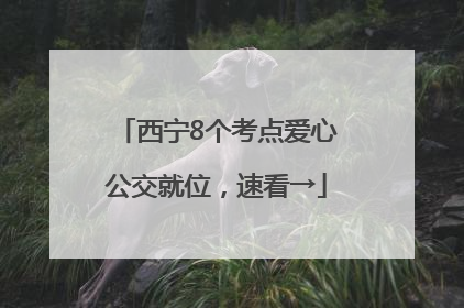西宁8个考点爱心公交就位，速看→
