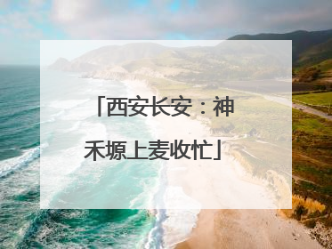 西安长安：神禾塬上麦收忙