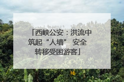 西峡公安：洪流中筑起“人墙” 安全转移受困游客